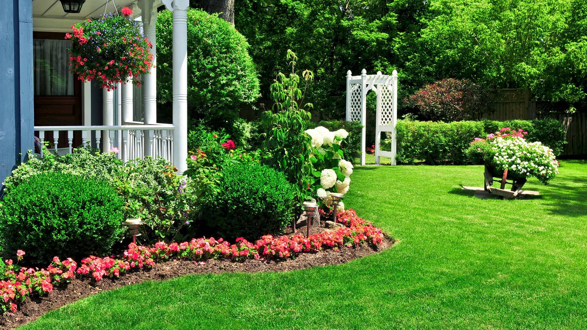 bg-articles-lawn-care-concord