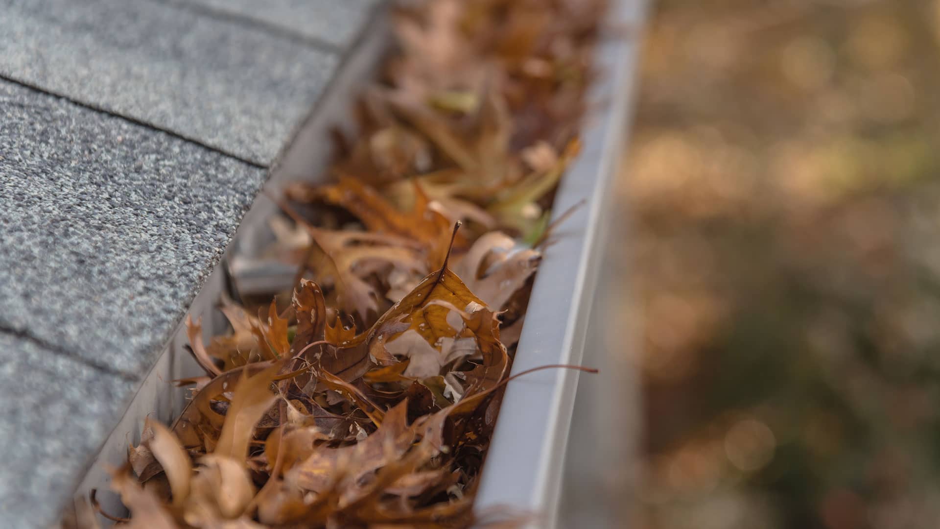 bg-gutter-lawn-care-concord