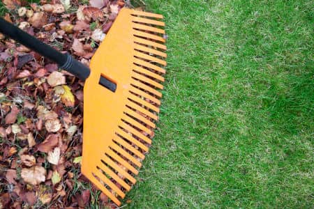 Why Invest in Seasonal Clean Up