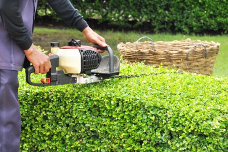 Brush & Tree Trimming