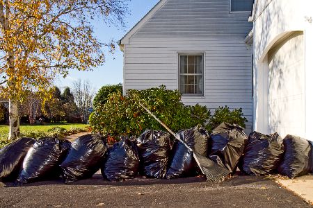 Yard Clean Up